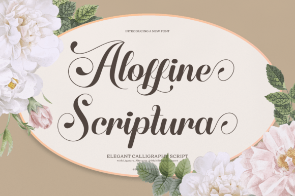Aloffine Scriptura: A Designer’s Take on This Elegant Typeface