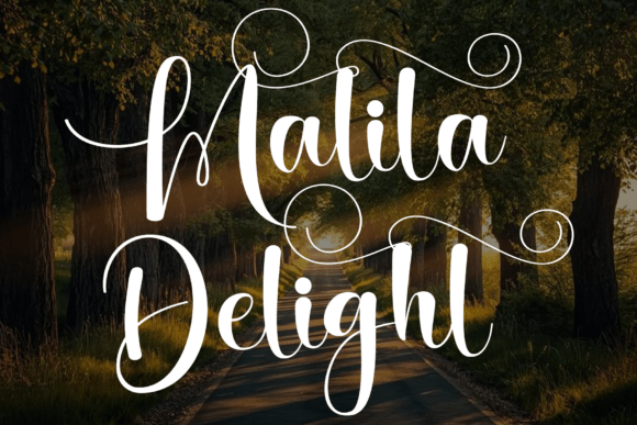 Malila Delight Font: Elevating Web Typography