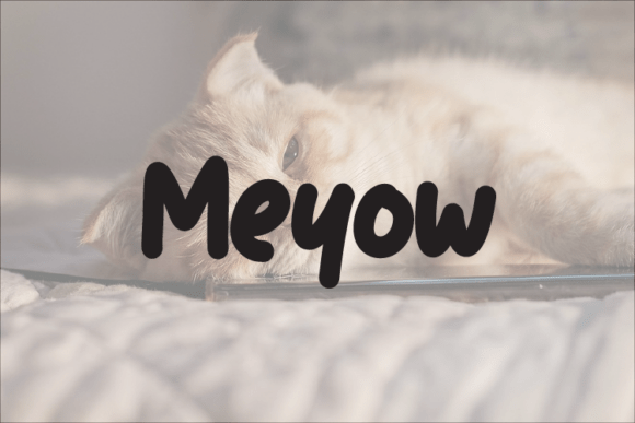 Meyow Font Review: Modern Elegance for Web Design