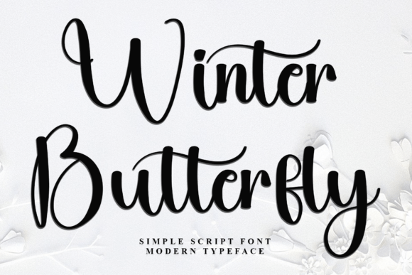 Winter Butterfly Font Review for Branding